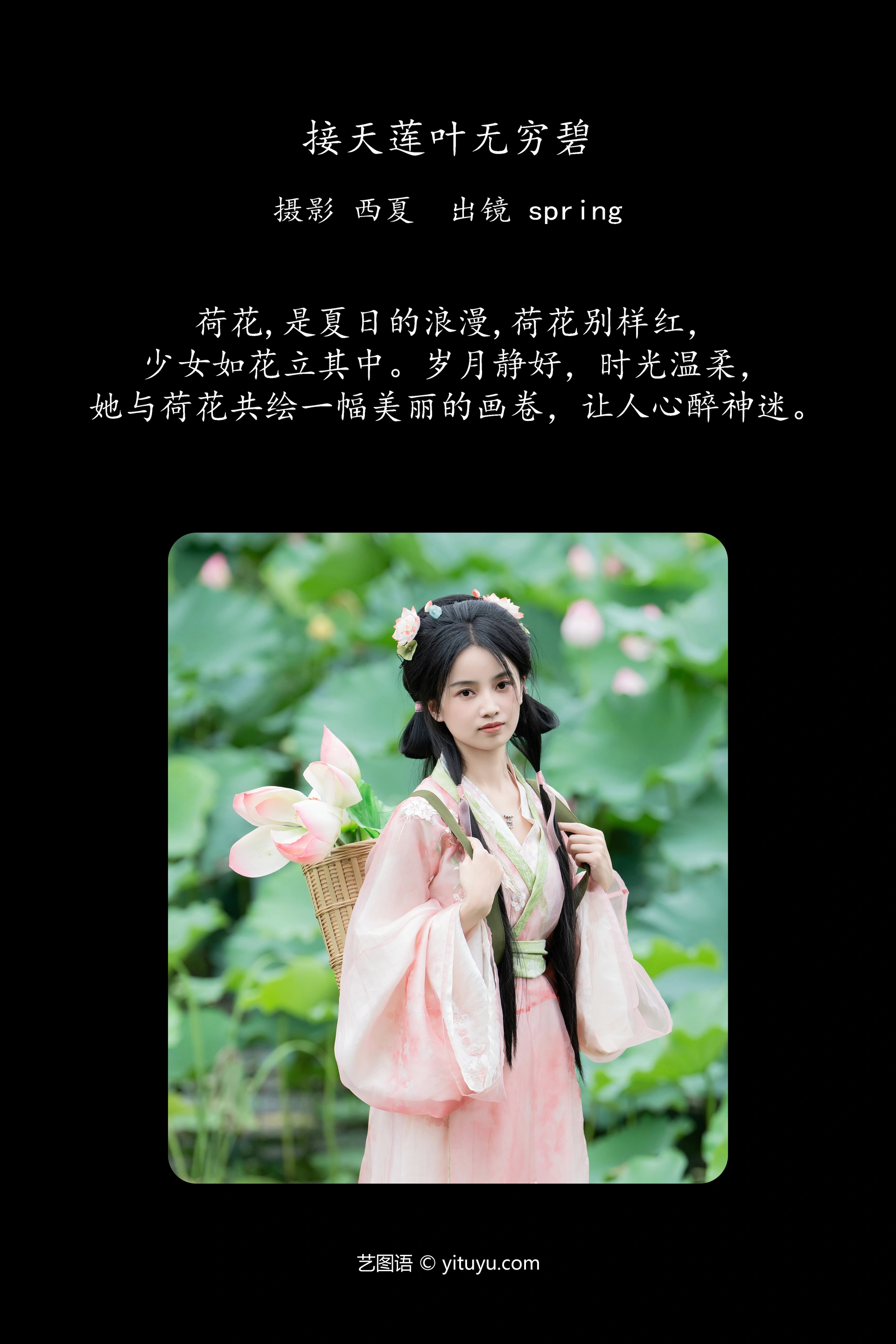 [YITUYU艺图语]2024.10.02 接天莲叶无穷碧 spring 0