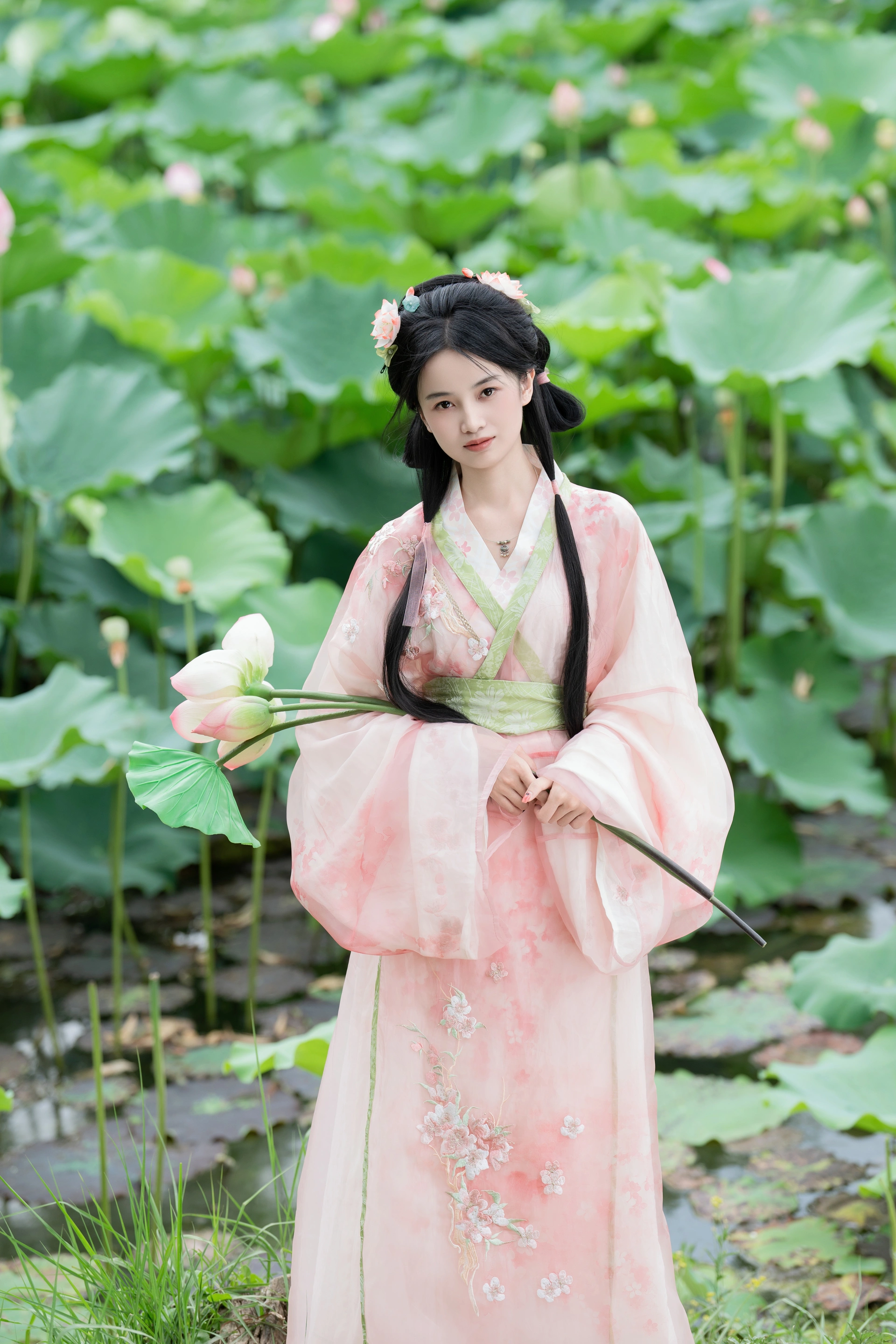 [YITUYU艺图语]2024.10.02 接天莲叶无穷碧 spring 1